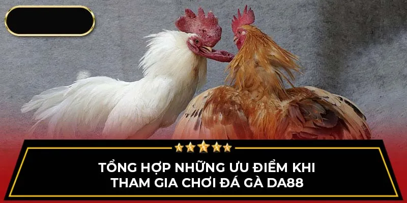 Tổng hợp những ưu điểm khi tham gia chơi đá gà DA88